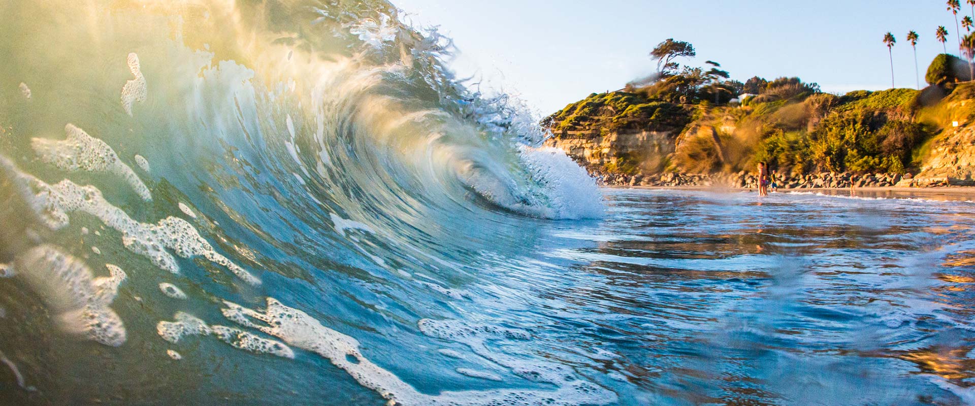 A powerful ocean wave curls toward the shore, with a cliffside in the background and sunlight sparkling on the water.