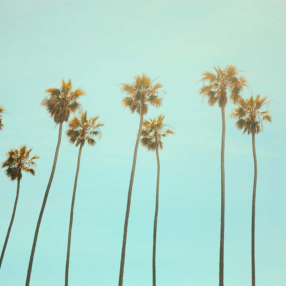 Drug Detox in Encinitas